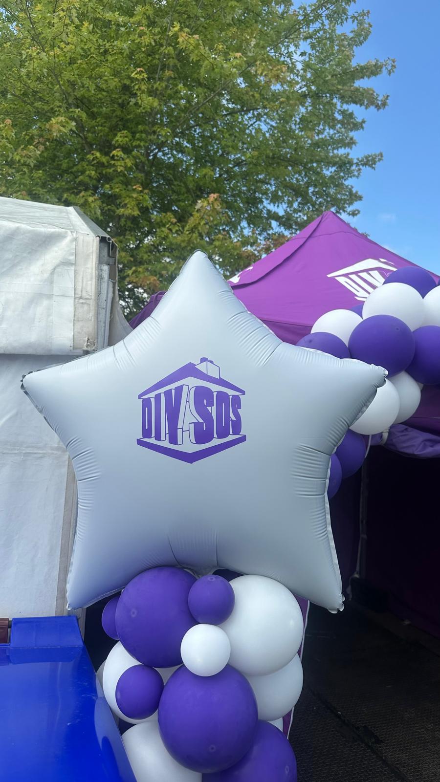 DIY SOS Image 5